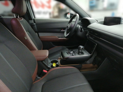 Mazda MX-30 Gebrauchtwagen