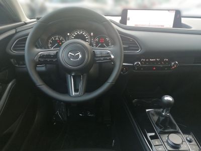 Mazda CX-30 Gebrauchtwagen Mazda CX-30 Gebrauchtwagen