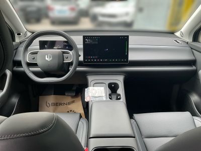 Leapmotor C10 Gebrauchtwagen Leapmotor C10 Gebrauchtwagen
