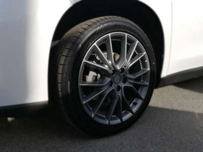 Leapmotor C10 Neuwagen