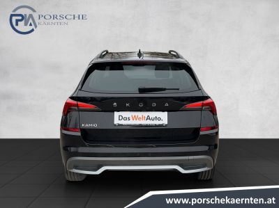 Skoda Kamiq Gebrauchtwagen