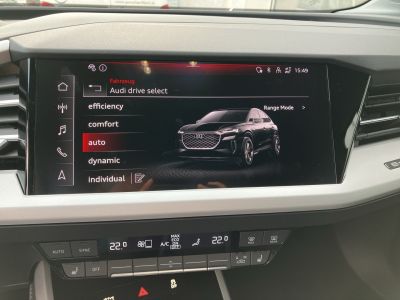 Audi Q4 e-tron Gebrauchtwagen