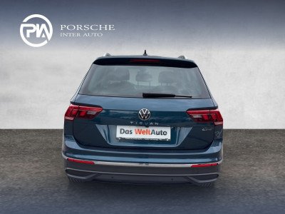 VW Tiguan Gebrauchtwagen VW Tiguan Gebrauchtwagen