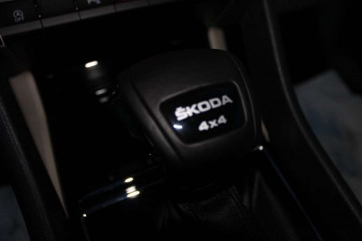 Skoda Kodiaq Gebrauchtwagen