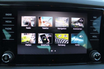 Skoda Karoq Gebrauchtwagen