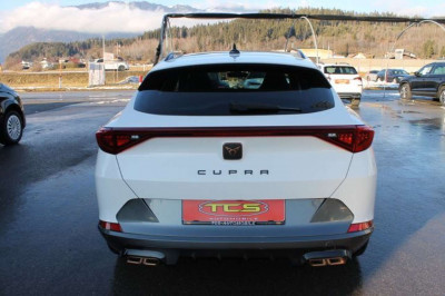 Cupra Formentor Gebrauchtwagen