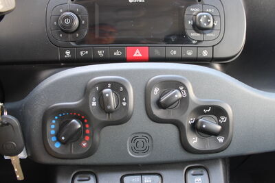 Fiat Panda Gebrauchtwagen