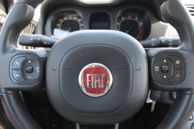 Fiat Panda Gebrauchtwagen