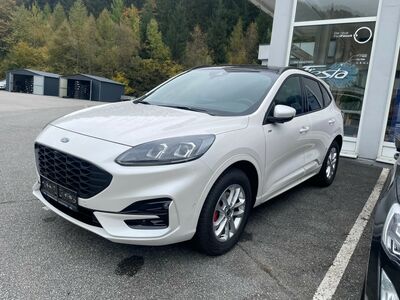 Ford Kuga Vorführwagen