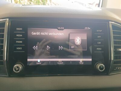 Skoda Karoq Gebrauchtwagen