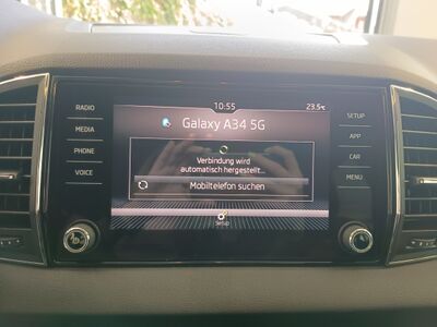 Skoda Karoq Gebrauchtwagen