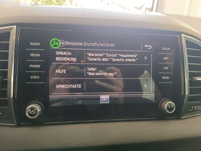 Skoda Karoq Gebrauchtwagen