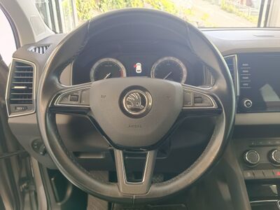 Skoda Karoq Gebrauchtwagen