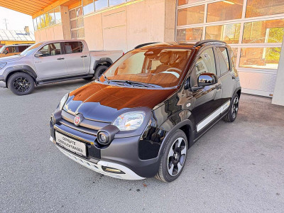Fiat Pandina Gebrauchtwagen Fiat Pandina Gebrauchtwagen
