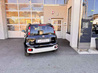 Fiat Pandina Gebrauchtwagen Fiat Pandina Gebrauchtwagen