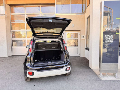 Fiat Pandina Gebrauchtwagen Fiat Pandina Gebrauchtwagen