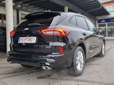 Ford Kuga Neuwagen Ford Kuga Neuwagen