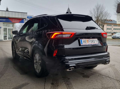 Ford Kuga Neuwagen Ford Kuga Neuwagen