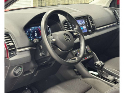 Skoda Karoq Gebrauchtwagen