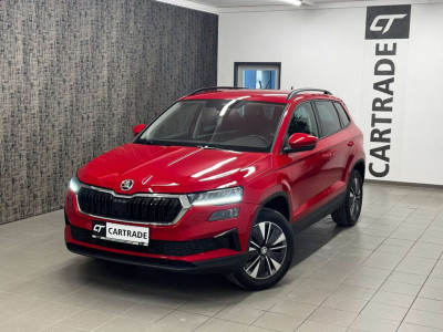 Skoda Karoq Gebrauchtwagen