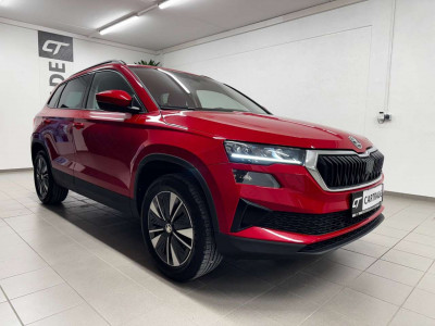 Skoda Karoq Gebrauchtwagen