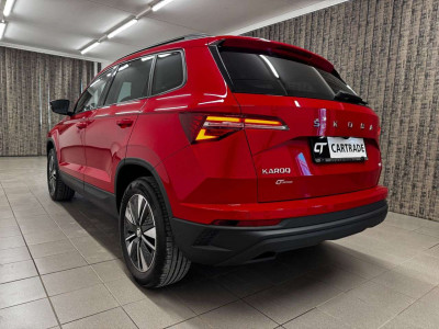 Skoda Karoq Gebrauchtwagen