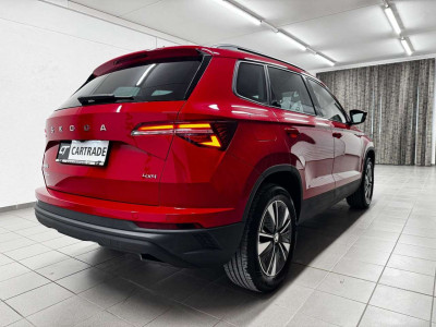 Skoda Karoq Gebrauchtwagen