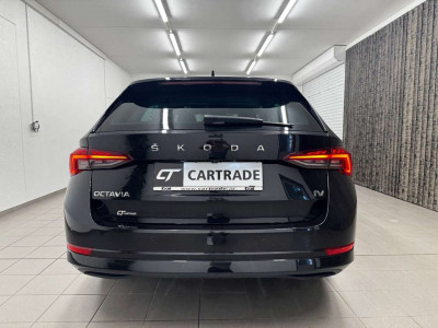 Skoda Octavia Gebrauchtwagen Skoda Octavia Gebrauchtwagen