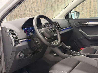 Skoda Karoq Gebrauchtwagen Skoda Karoq Gebrauchtwagen