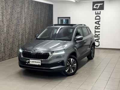 Skoda Karoq Gebrauchtwagen Skoda Karoq Gebrauchtwagen