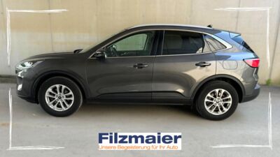 Ford Kuga Gebrauchtwagen