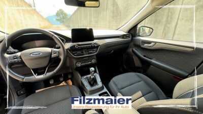 Ford Kuga Gebrauchtwagen