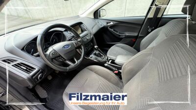 Ford Focus Gebrauchtwagen