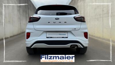 Ford Puma Gebrauchtwagen