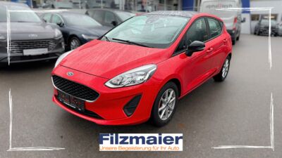 Ford Fiesta Gebrauchtwagen