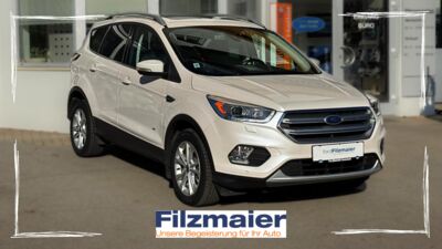 Ford Kuga Gebrauchtwagen