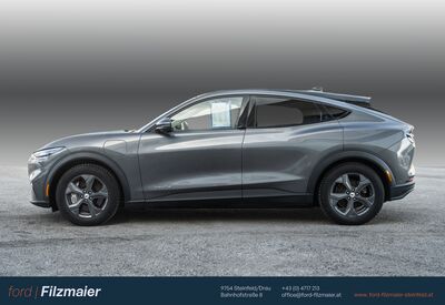 Ford Mustang Mach-E Gebrauchtwagen