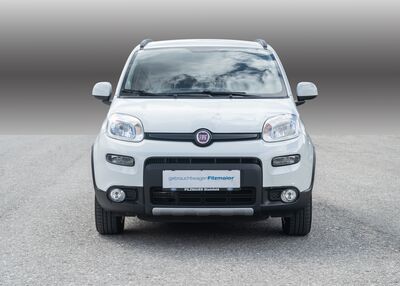 Fiat Panda Gebrauchtwagen