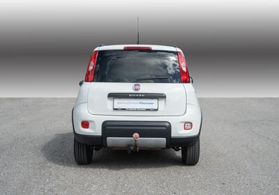 Fiat Panda Gebrauchtwagen