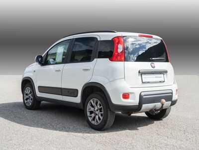 Fiat Panda Gebrauchtwagen