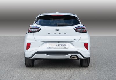 Ford Puma Gebrauchtwagen Ford Puma Gebrauchtwagen