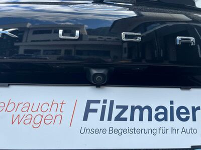 Ford Kuga Gebrauchtwagen Ford Kuga Gebrauchtwagen