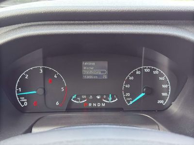 Ford Transit Custom Gebrauchtwagen