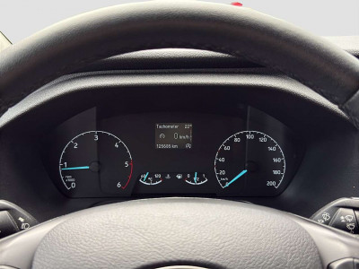 Ford Tourneo Custom Gebrauchtwagen