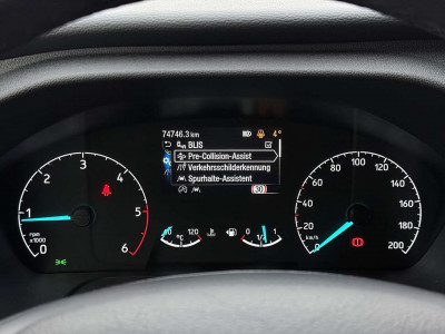 Ford Tourneo Custom Gebrauchtwagen