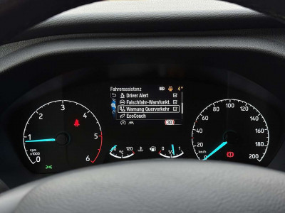 Ford Tourneo Custom Gebrauchtwagen