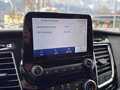 Ford Tourneo Custom Gebrauchtwagen