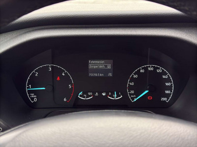 Ford Tourneo Custom Gebrauchtwagen