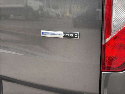 Ford Tourneo Custom Gebrauchtwagen