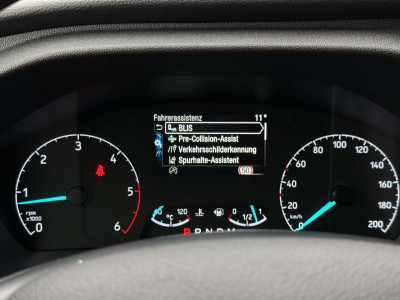 Ford Tourneo Custom Gebrauchtwagen